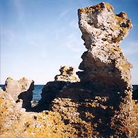 Rauker (Limestone rocks) at Holmhaeller near the southern tip of Gotland. Photo: Klaus himself.